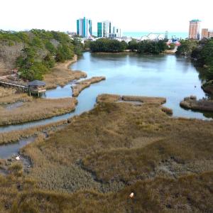 Photo #7 of TBD Charlotte Rd., Myrtle Beach, SC 0.5 acres