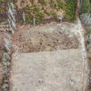 Photo #5 of 7306 Bellaire Dr., Nichols, SC 1.3 acres