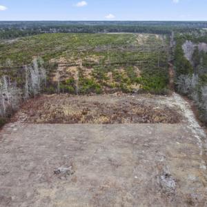 Photo #2 of 7306 Bellaire Dr., Nichols, SC 1.3 acres