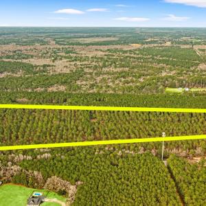 Photo #7 of Old Reaves Ferry Rd., Conway, SC 25.0 acres