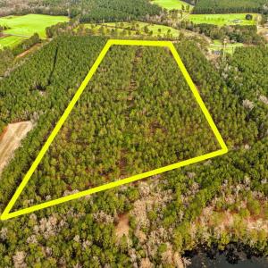Photo #8 of Old Reaves Ferry Rd., Conway, SC 25.0 acres