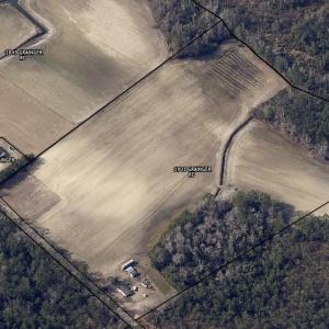 Photo #3 of 1901 Grainger Rd., Aynor, SC 21.5 acres