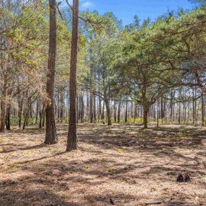 Photo #13 of 2630 Vanderbilt Blvd., Pawleys Island, SC 3.2 acres