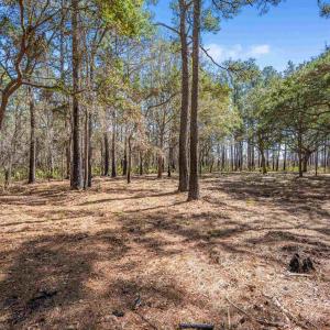 Photo #14 of 2630 Vanderbilt Blvd., Pawleys Island, SC 3.2 acres