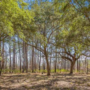 Photo #2 of 2630 Vanderbilt Blvd., Pawleys Island, SC 3.2 acres