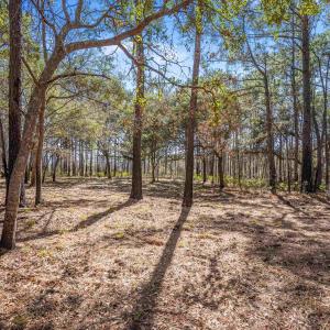 Photo #15 of 2630 Vanderbilt Blvd., Pawleys Island, SC 3.2 acres