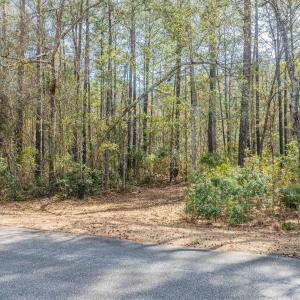 Photo #12 of 2630 Vanderbilt Blvd., Pawleys Island, SC 3.2 acres