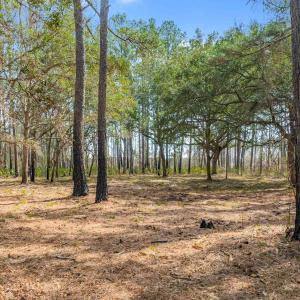 Photo #5 of 2630 Vanderbilt Blvd., Pawleys Island, SC 3.2 acres