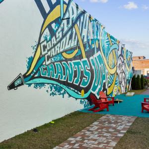 Photo #13 of TBD LOT 3 Old Reaves Ferry Rd., Conway, SC 0.5 acres