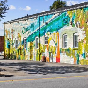 Photo #11 of TBD LOT 3 Old Reaves Ferry Rd., Conway, SC 0.5 acres