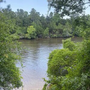 Photo #16 of TBD Water Tower Rd., Longs, SC 167.1 acres