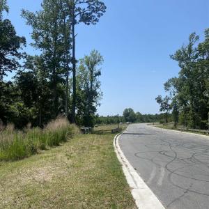 Photo #8 of TBD Water Tower Rd., Longs, SC 167.1 acres