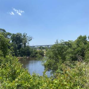 Photo #13 of TBD Water Tower Rd., Longs, SC 167.1 acres