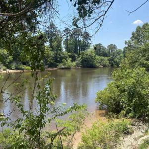 Photo #12 of TBD Water Tower Rd., Longs, SC 167.1 acres