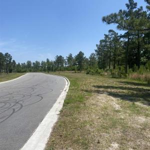 Photo #9 of TBD Water Tower Rd., Longs, SC 167.1 acres