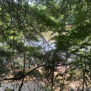 Photo #17 of TBD Water Tower Rd., Longs, SC 167.1 acres