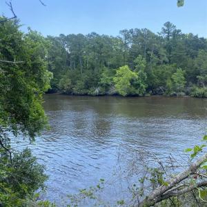 Photo #11 of TBD Water Tower Rd., Longs, SC 167.1 acres