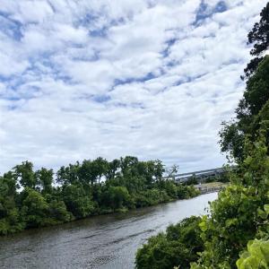 Photo #21 of TBD Water Tower Rd., Longs, SC 167.1 acres