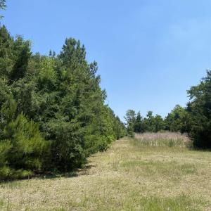 Photo #14 of TBD Water Tower Rd., Longs, SC 130.5 acres