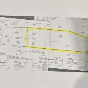 Photo #3 of TBD Fries Bay Rd., Loris, SC 30.0 acres