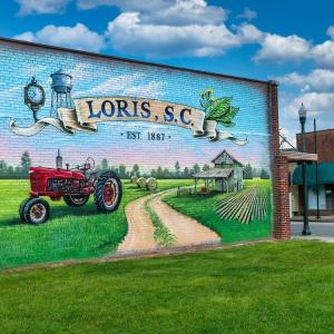 Photo #5 of TBD Fries Bay Rd., Loris, SC 30.0 acres