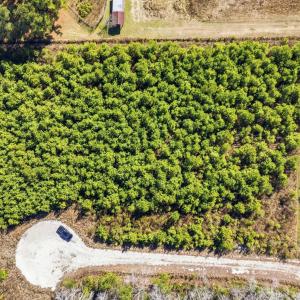 Photo #3 of TBD LOT 5 Old Reaves Ferry Rd., Conway, SC 0.5 acres