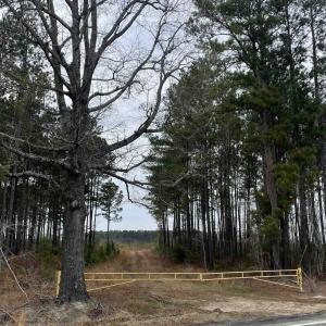 Photo #1 of TBD Rocky Ford Rd., Salters, SC 120.0 acres