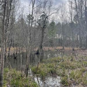 Photo #3 of TBD Rocky Ford Rd., Salters, SC 120.0 acres