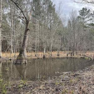Photo #1 of TBD Rocky Ford Rd., Salters, SC 120.0 acres
