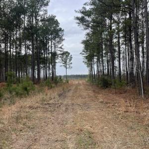 Photo #5 of TBD Rocky Ford Rd., Salters, SC 120.0 acres