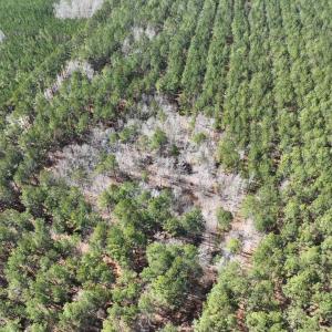 Photo #7 of TBD Rocky Ford Rd., Salters, SC 120.0 acres