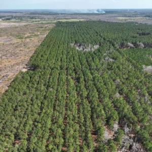 Photo #6 of TBD Rocky Ford Rd., Salters, SC 120.0 acres