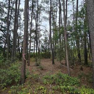 Photo #4 of TBD Gillette Pl., Murrells Inlet, SC 0.7 acres