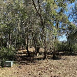 Photo #5 of TBD Gillette Pl., Murrells Inlet, SC 0.7 acres