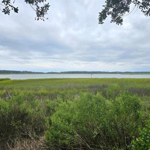 Photo #1 of TBD Gillette Pl., Murrells Inlet, SC 0.7 acres