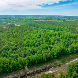 Photo #4 of Sand Plant Rd., Nichols, SC 66.0 acres