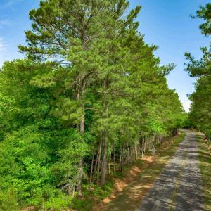 Photo #24 of Sand Plant Rd., Nichols, SC 66.0 acres