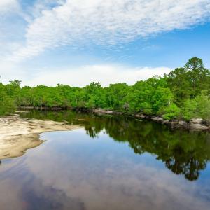 Photo #26 of Sand Plant Rd., Nichols, SC 66.0 acres