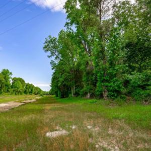 Photo #18 of Sand Plant Rd., Nichols, SC 66.0 acres