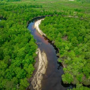 Photo #27 of Sand Plant Rd., Nichols, SC 66.0 acres