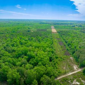 Photo #3 of Sand Plant Rd., Nichols, SC 66.0 acres