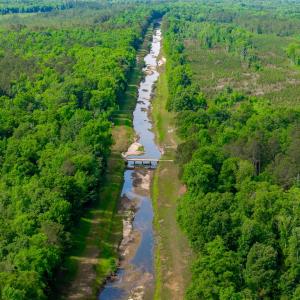 Photo #19 of Sand Plant Rd., Nichols, SC 66.0 acres