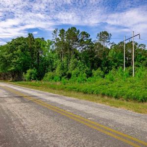Photo #10 of Sand Plant Rd., Nichols, SC 66.0 acres