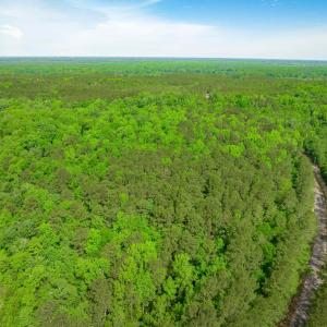Photo #23 of Sand Plant Rd., Nichols, SC 66.0 acres