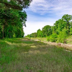 Photo #11 of Sand Plant Rd., Nichols, SC 66.0 acres