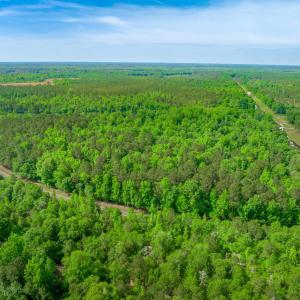 Photo #5 of Sand Plant Rd., Nichols, SC 66.0 acres