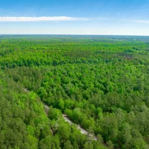 Photo #7 of Sand Plant Rd., Nichols, SC 66.0 acres