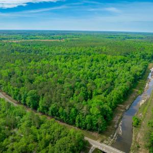Photo #2 of Sand Plant Rd., Nichols, SC 66.0 acres