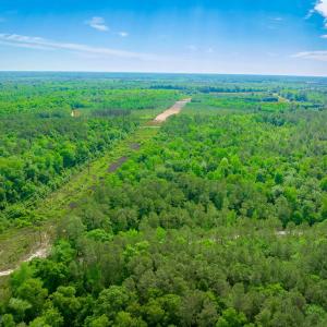 Photo #9 of Sand Plant Rd., Nichols, SC 66.0 acres