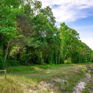 Photo #13 of Sand Plant Rd., Nichols, SC 66.0 acres